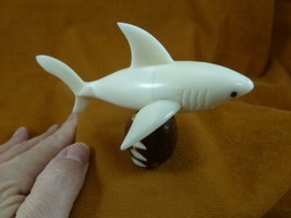 (tne-sha-721B) Great White Shark sharks TAGUA NUT figurine carving PALM NUT - £26.89 GBP