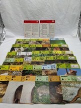 Lot Of (36) 1975 Rencontre Mammals I And II Education Cards - $39.59