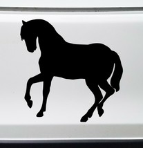 HORSE Vinyl Sticker - Equine Mare Foal Pony Colt Filly Stallion - Die Cut Decal - £3.90 GBP+