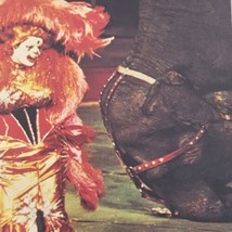 Peggy Williams Ringling Brothers Barnum Bailey Vintage Postcard Circus 1976 - £9.63 GBP