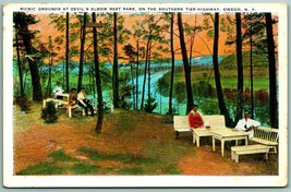 Picnic Grounds At Devil&#39;s Elbow Owego New York NY UNP WB Postcard I1 - £5.41 GBP