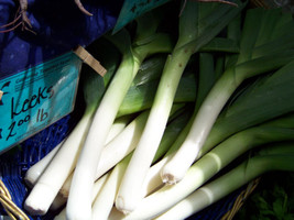 Leek Large American Flag Leeks 400 Seeds  From US - $6.50