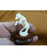 (tb-horse-3) rearing wild Horse Tagua NUT palm figurine Bali carving lov... - £36.86 GBP