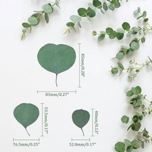 300PCS Real Eucalyptus Leaves for Shower Dried Eucalyptus Leaves for Shower Fres - £19.75 GBP