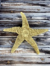 Real Starfish Seashell - Dried Desiccated - 10&quot; - Nautical Decor - READ! - £23.11 GBP