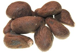 Fair Trade Ecuador Tagua Nuts | Vegan Ivory | XL 70mm+ /7cm+ (2.75&quot;+) - £15.25 GBP+