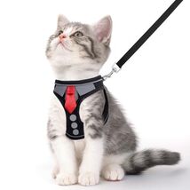 Reflective Pet Cat Harness and Leash Escape Proof Adjustable Vest for Ca... - $7.80