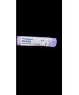 Boiron Phytolacca Decandra 1M for Sore Throat Pain Radiating to Ears 80 ... - $205.84 MXN