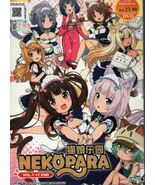Nekopara 1-12End English Dubbed &amp; All region DVD Ship From USA Ship Out ... - $25.49