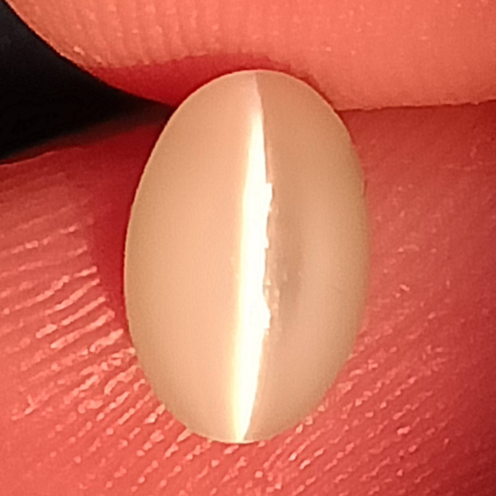 Chrysobery Cat's Eye , 2.33 Cts. , Cat's Eye , Sri Lanka Cat's Eye Gemstone , Ca Item image 3