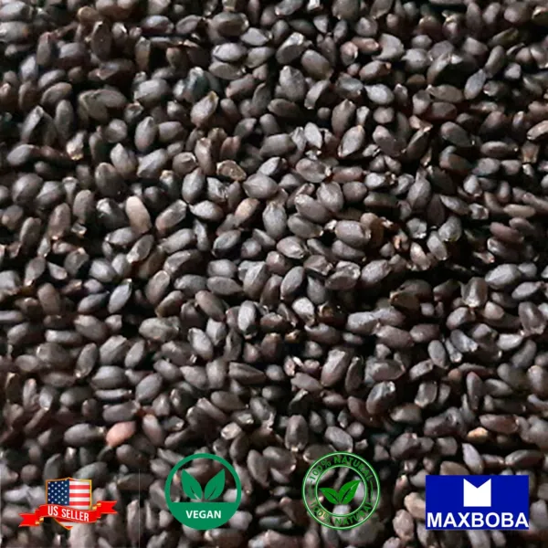 Seeds Tukmaria (Basil Or Sabja) Whole Raw 1 2 Oz (14G) Indian Spice 100% Natural - £8.79 GBP