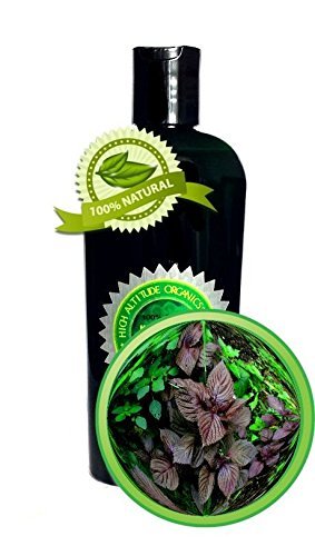Perilla Seed Oil - 8oz - 100% PURE & Natural, Cold-pressed - by High Altitde Nat