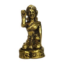 Nang Kwak Thai Amuleto Oro Ottone Talismano Magico Ricchezza Denaro Buon Affari - £13.63 GBP