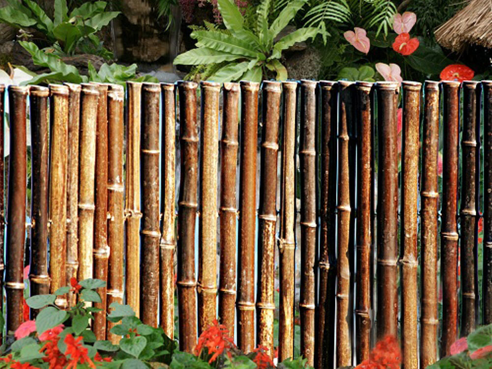 BLACK Bamboo Fence- Sold In 8 Foot Long Sections Choose from 4 Heights - $175.00 - $465.00