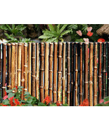 BLACK Bamboo Fence- Sold In 8 Foot Long Sections Choose from 4 Heights - £139.86 GBP+