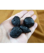 (x-365) set of 4 small Tektites TEKTITE from Impact 700,000 years ago sp... - $16.67 CAD