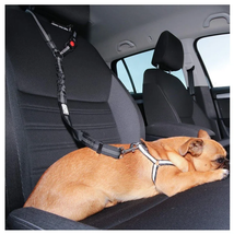 Solid Anti-shock Two-in-one Dog Harness Leash Pet Car Seat Belt with Clip - £11.24 GBP