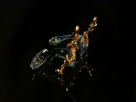 Item image 12