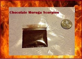 MX 2 3 Grams Chocolate Moruga Chili Powder Sample Spice World Record Bul... - $199.16 MXN