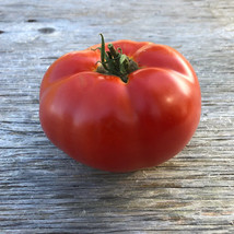 50 Seeds Gremlin Tomato Juicy Vegetable Garden Edible Fresh Seeds - £7.84 GBP