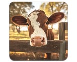 4 PCS Animal Cow Coasters - £19.67 GBP