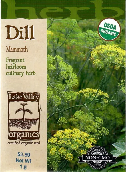 Dill Mammoth Organic Herb Seeds Heirloom Non-Gmo - Lake Valley 12/24 Fresh Garde - £7.51 GBP