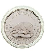 Moneda De Plata Proof De Oso Polar De $8 Dólares De Canadá 2013 Con Caja... - $275.22