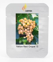Rare Yellow Red Cluster of Grape Organic Seeds, Professional Pack, 15 Seeds / Pa - £2.79 GBP
