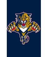 NHL Florida Panthers Flag-3x5FT Banner-100% polyester Style 2 - $34.04 CAD