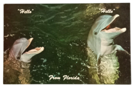 Miami Seaquarium Porpoises Dolphins Hello Florida FL UNP Koppel Postcard c1970s - £4.73 GBP