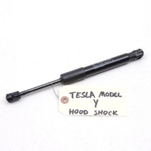 2017-2023 Tesla Model Y One Front Hydraulic Hood Lift Support Shock Stru... - $40.10
