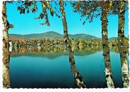 New York Postcard Lake Placid Birches Mirror Lake Drive - $2.96