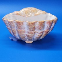 Porcelain Seaside 5” Seashell Nautical Shell Shaped Bowl Neutral - Unkno... - $18.78