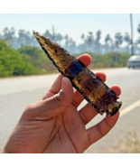Rare Smoky Obsidian Spearhead –Large Crescent Crystal for Healing &amp; Jewe... - $16.33+