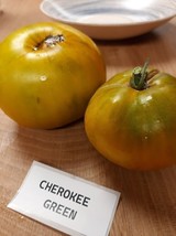 Cherokee Green Tomato from the USA - 5+ Seeds - P 436 - £1.25 GBP