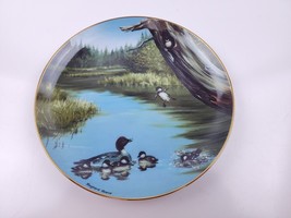 Danbury Mint The Swimming Lesson Wonders of the Wetlands Plate by Maynard Reece - £11.98 GBP