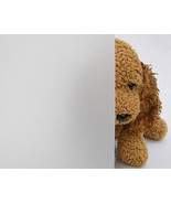 Gordon Glass® White Frost Privacy Decorative Window Film 12&quot; Wide x 15 ft.  - €16,83 EUR
