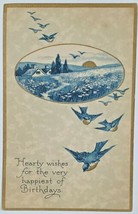 Beautiful Birthday Bluejays Country Scene Shimmering Gold 1921 Postcard T12 - $6.95
