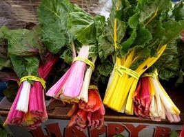 KKG Chard Swiss Rainbow Garden Seeds Fresh Garden - $7.89