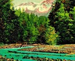 Mount Rainier WA Washington North Fork Railroad Bridge 1910s DB Postcard... - $3.91