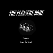 The Pleasure Dome - Insane/Love Is Dead (Vinyl 7&quot; 2023, First Edition ) - £10.09 GBP