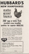 1951 Print Ad Hubbard&#39;s New Hampshires Chickens Make Great Layers Walpole,NH - £7.29 GBP