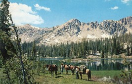 Sawtooth Wilderness Area Unposted Postcard Idaho Spangle Lake Vintage - £7.94 GBP