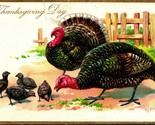 Raphael Tuck Thanksgiving Day Series Turkeys Chicks Embossed 1910s Postcard - $9.76