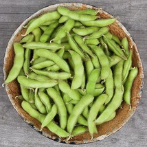 50 Chiba Green Soybean Seeds Fresh USA Shipping - $13.30