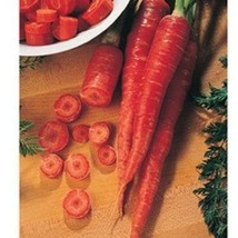 Nutri Red Carrot Seeds Daucus Carota Var. Sativus 100  Seeds US Seller F... - £11.23 GBP