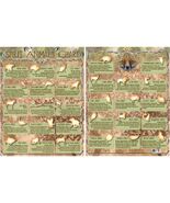 Spirit Animal Totem Chart:What Each Spirit Animal Means! - €6,70 EUR