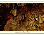 Banana Grove Oregon Caves National Monument Cave Junction UNP Chrome Pos... - $2.92