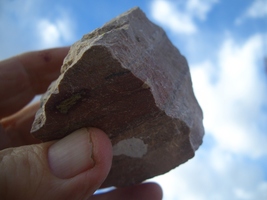 Jtl: Jurassic Todilto Limestone Uranium 10.8 Oz. 27K Cpm, Nm $33.00 + S/H - £26.37 GBP