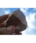 JTL: JURASSIC TODILTO LIMESTONE URANM ROCK 10.8 OZ. 27,000 CPM, NM  $33.... - $33.00